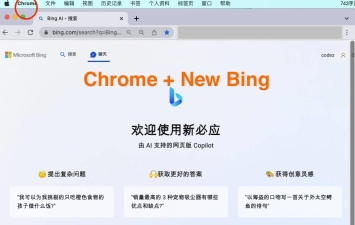 最新修复版微软 New Bing 完美聊天机器人源码，支持 ChatGPT 提示词，基本兼容微软 Bing AI 所有功能 国内可用